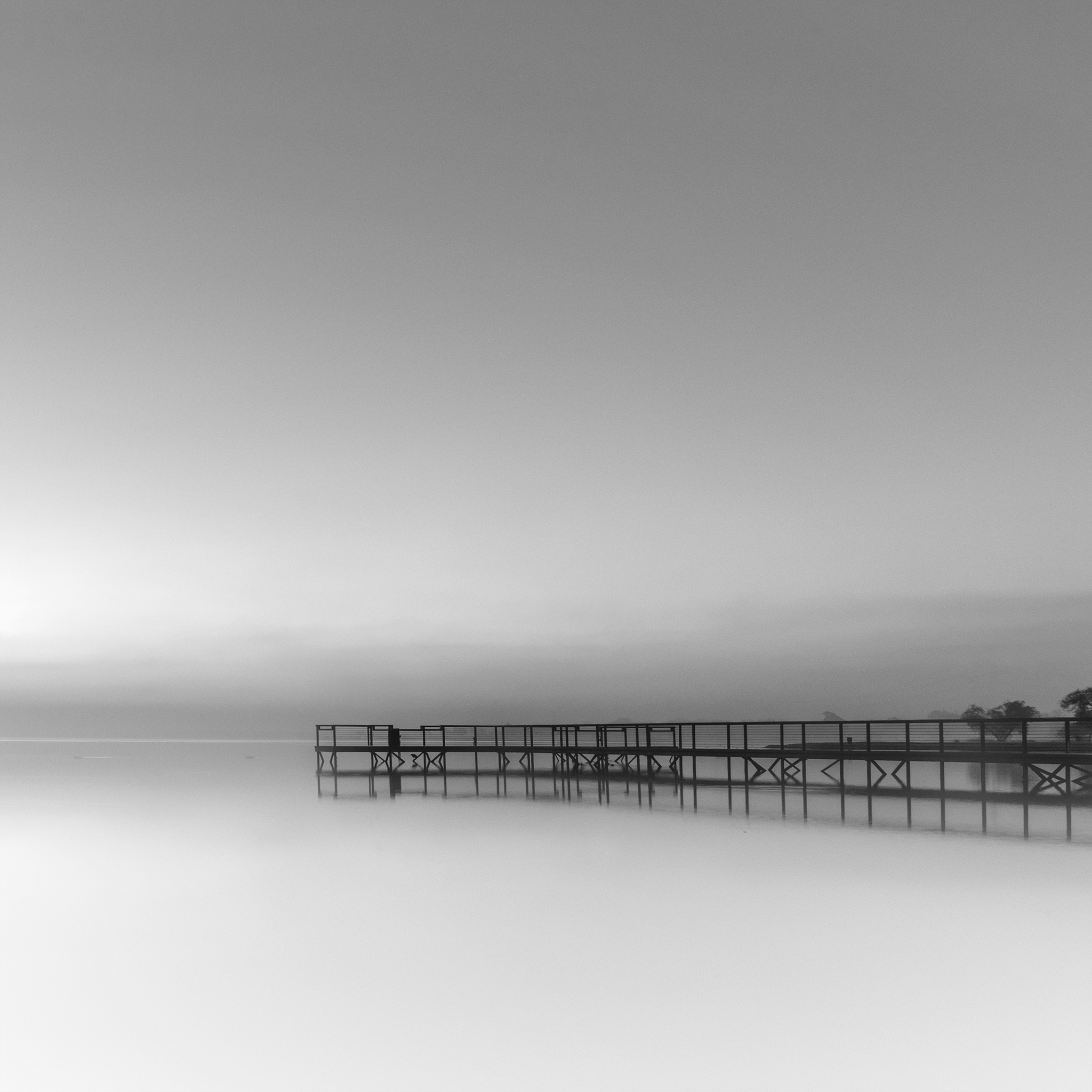 DSC_0010-Edit-copy.jpg