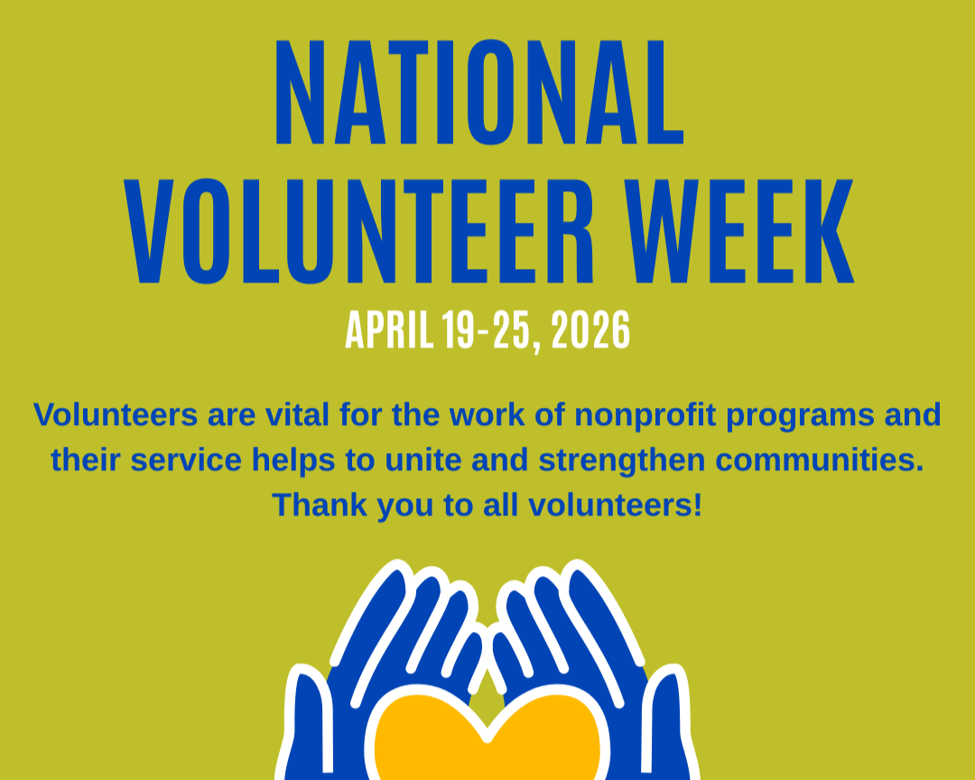National Volunteer Week: The Power of Student Volunteering