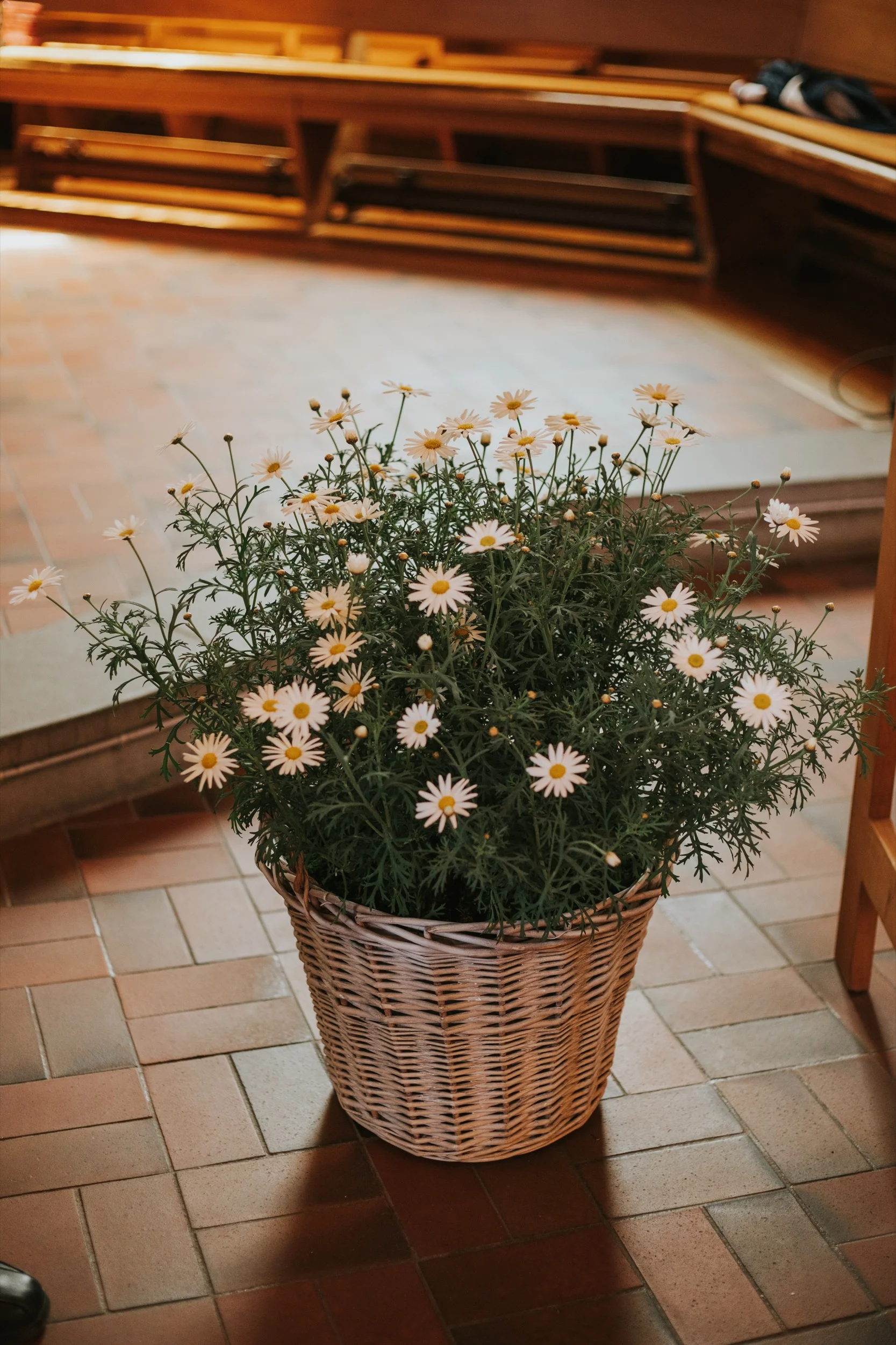 1804_Hochzeit_Chrigi-Tobi_232.jpg
