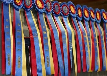 Ribbons.jpg