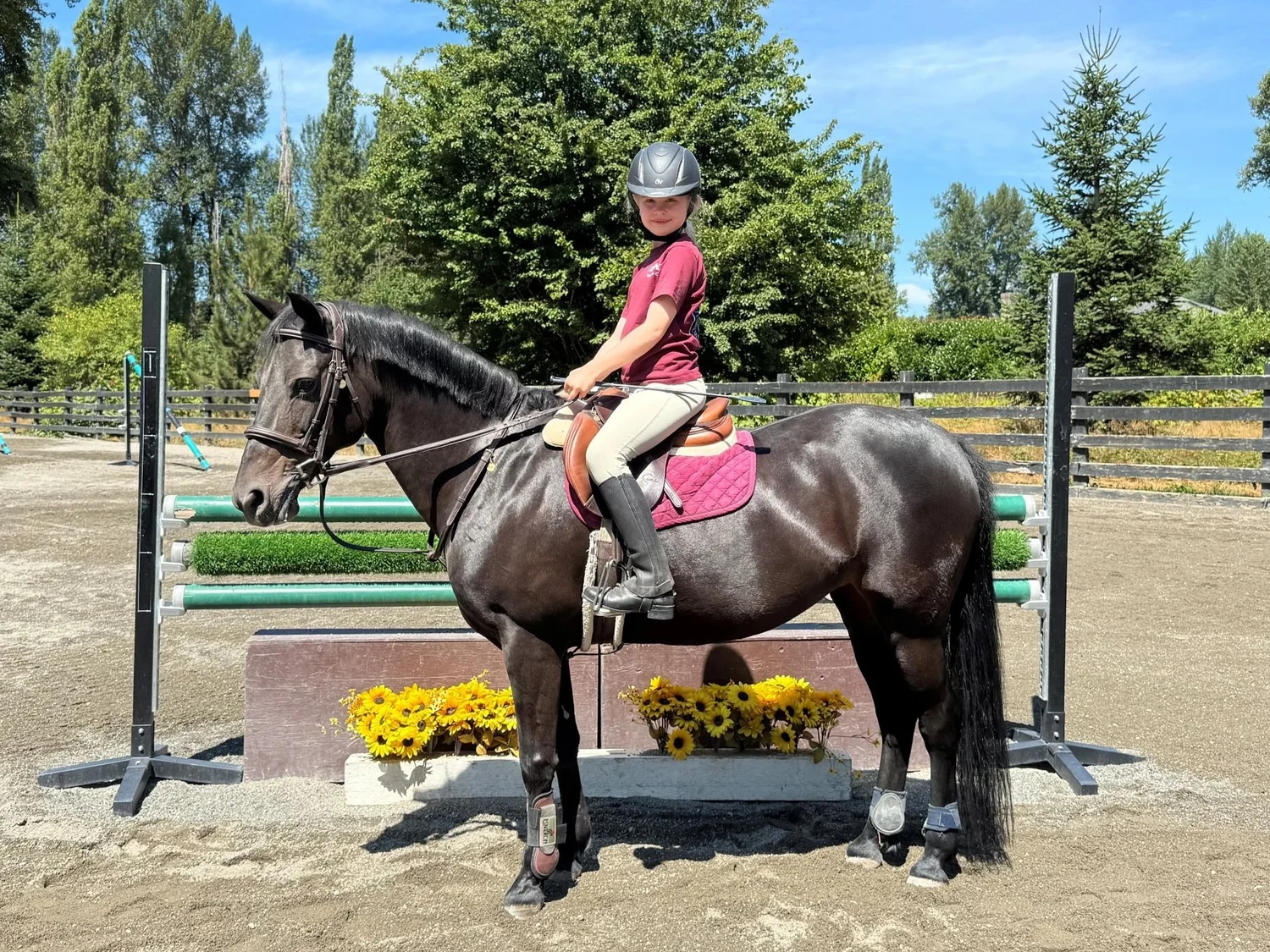 Riding Academy — Legacy Hunters & Jumpers Inc.