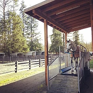 horse%2Bgym.webp