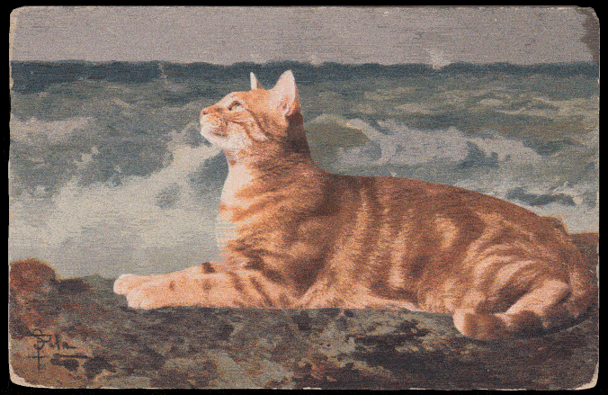   Cat by the Shore &nbsp;//&nbsp;Animated Collage,&nbsp;2015 