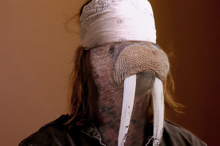  David Foster Walrus, 2016 //&nbsp; Click for more from this project . 