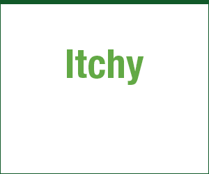 New Product Packaging – GIF Animation (Ad 2)