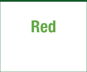 New Product Packaging – GIF Animation (Ad 3)