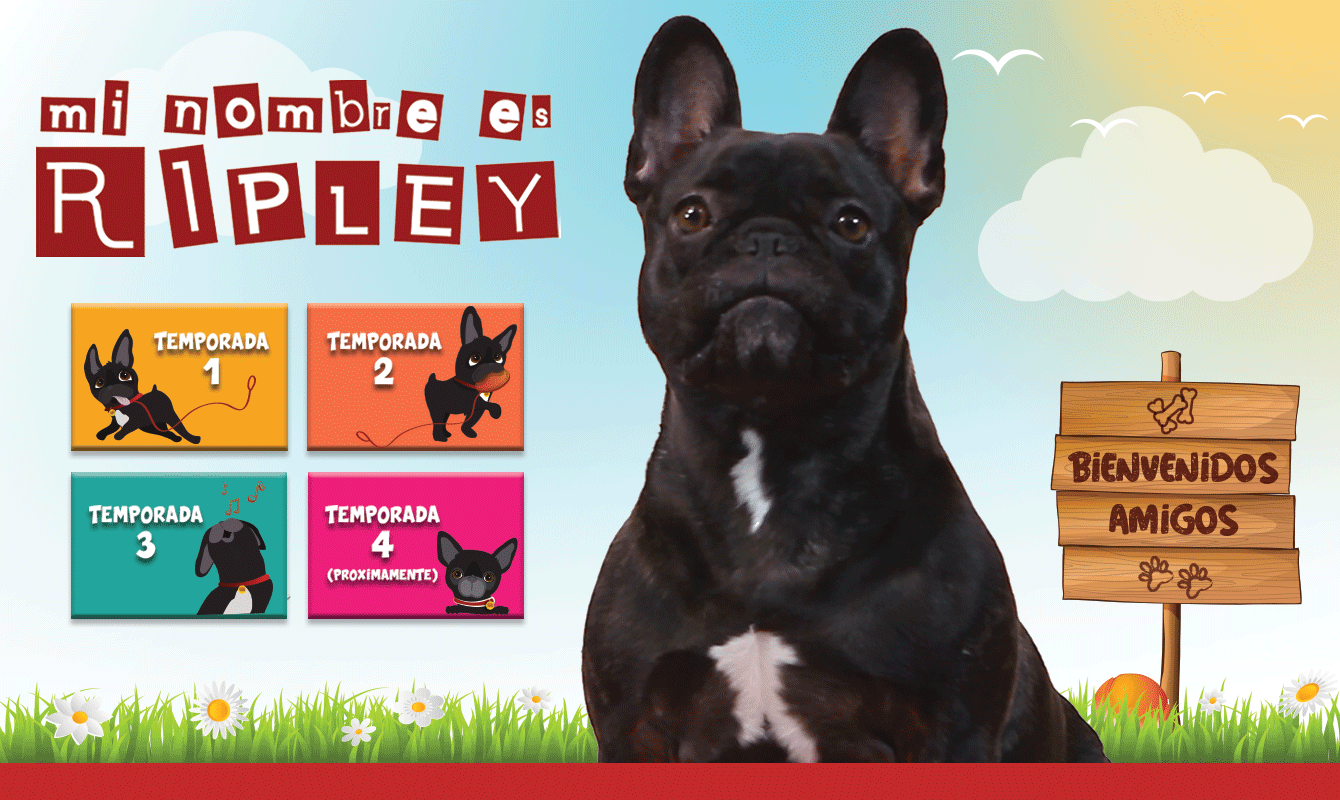 Landing Page for RipleyTV.ca