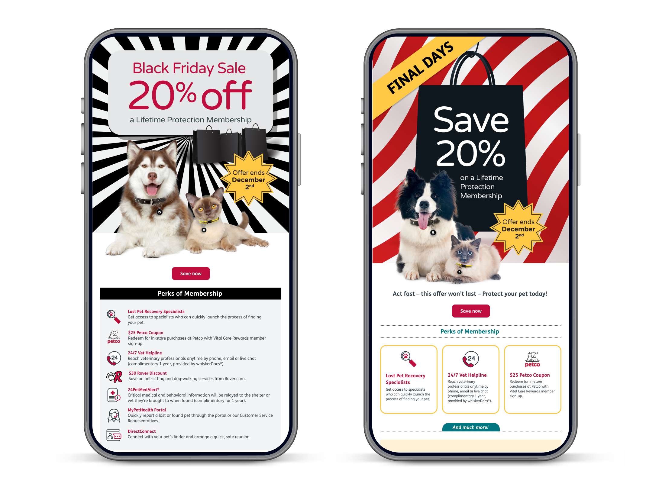 Promotion Email Design