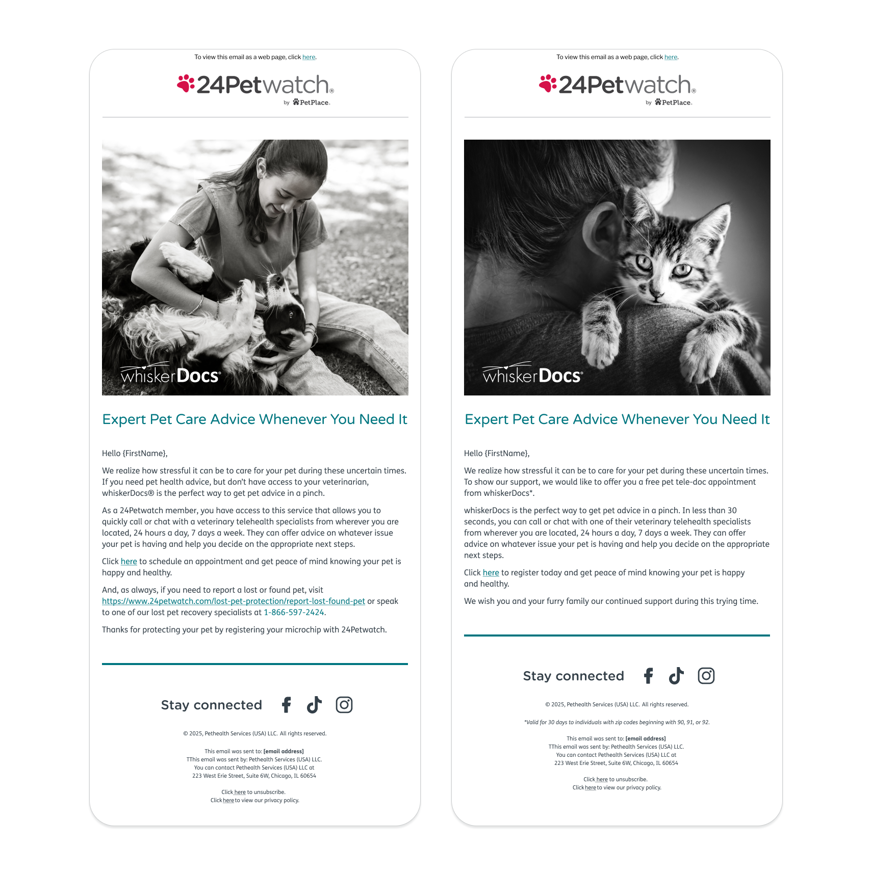 Brand Partnership Member Email