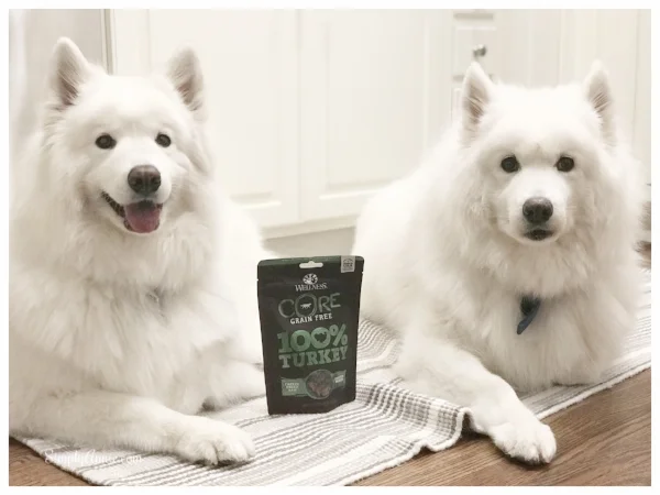 Not so patiently waiting for mom to give them their new Wellness CORE 100% freeze dried treats