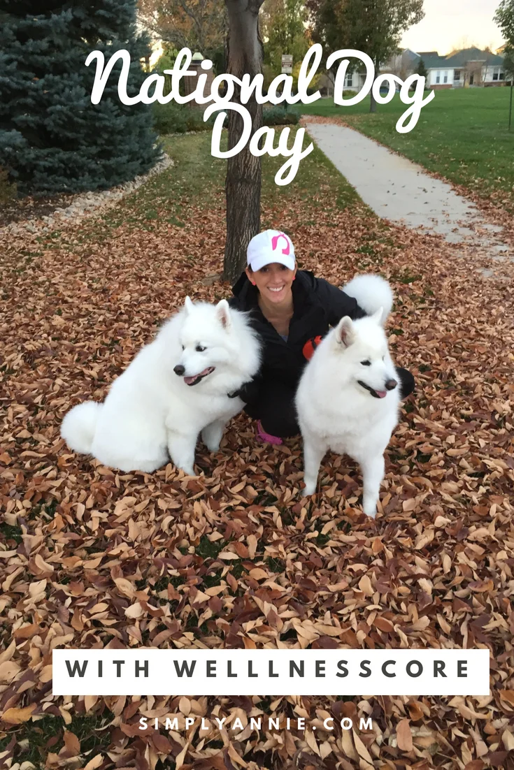 National Dog Day.jpg