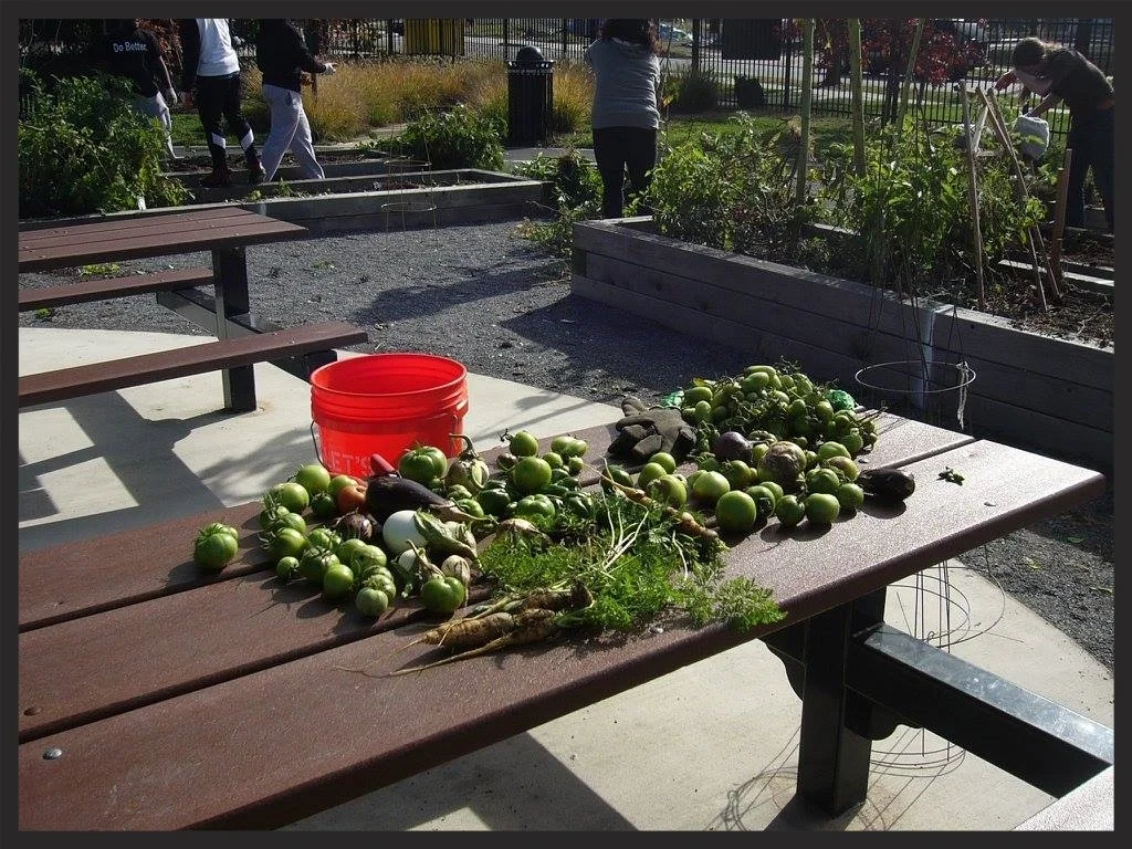 Garden Plot Registration Window