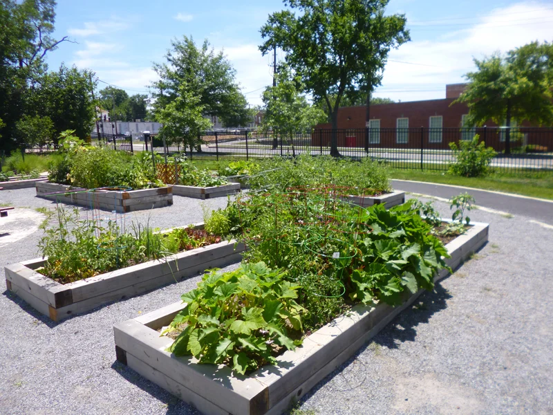 2020 Noyes Park Community Garden Lottery Registration