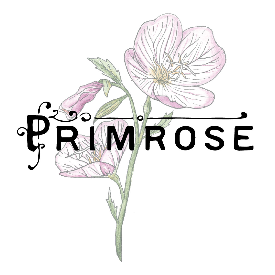 Primrose - Profile Logo.jpg