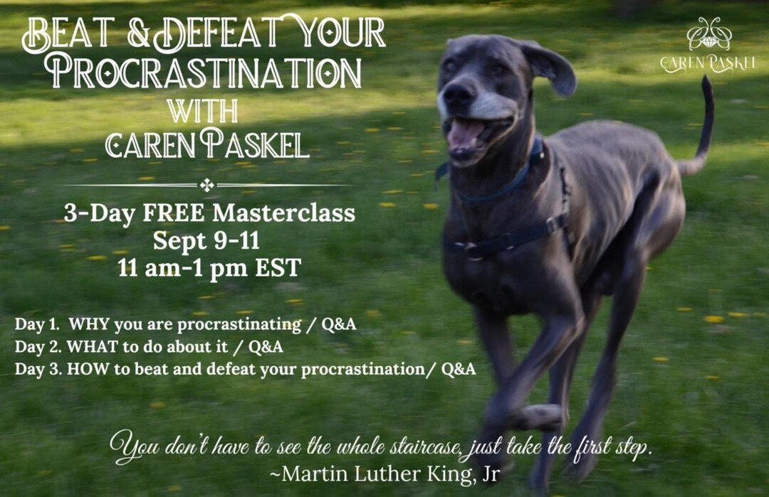 Join Caren Paskel for a FREE 3-Day Mental Training Masterclass, Beat &amp; Defeat Your Procrastination, September 9-11 from 11 am - 1 pm.

You first need to understand WHY you are procrastinating. Day 1 will focus on the cause of procrastination. Sec