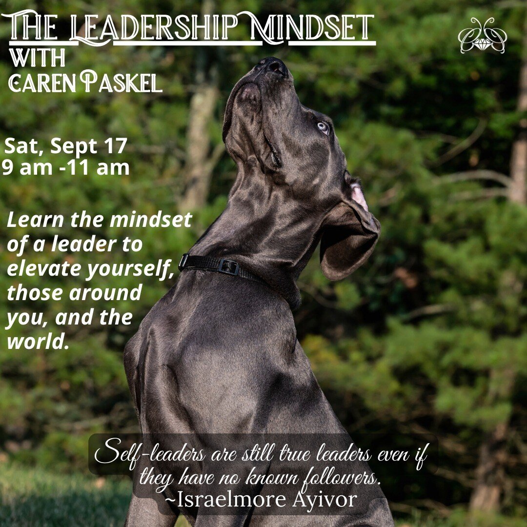 You can happily and powerfully lead the way in all of your relationships, your career, and your life with a leadership mindset. Learn how to develop yours and be a beautiful positive leader in your life! 
$119 through the month of August. On Sept 1 t