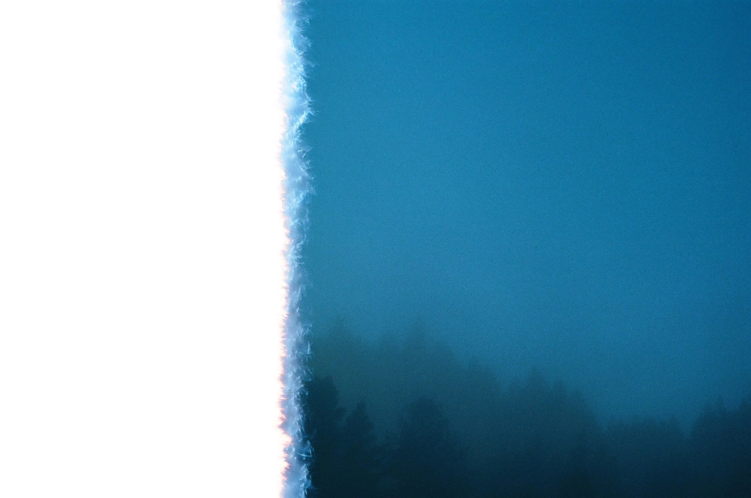 1827C193-B9DF-45F8-B49F-2DECF5D6AB33.jpeg