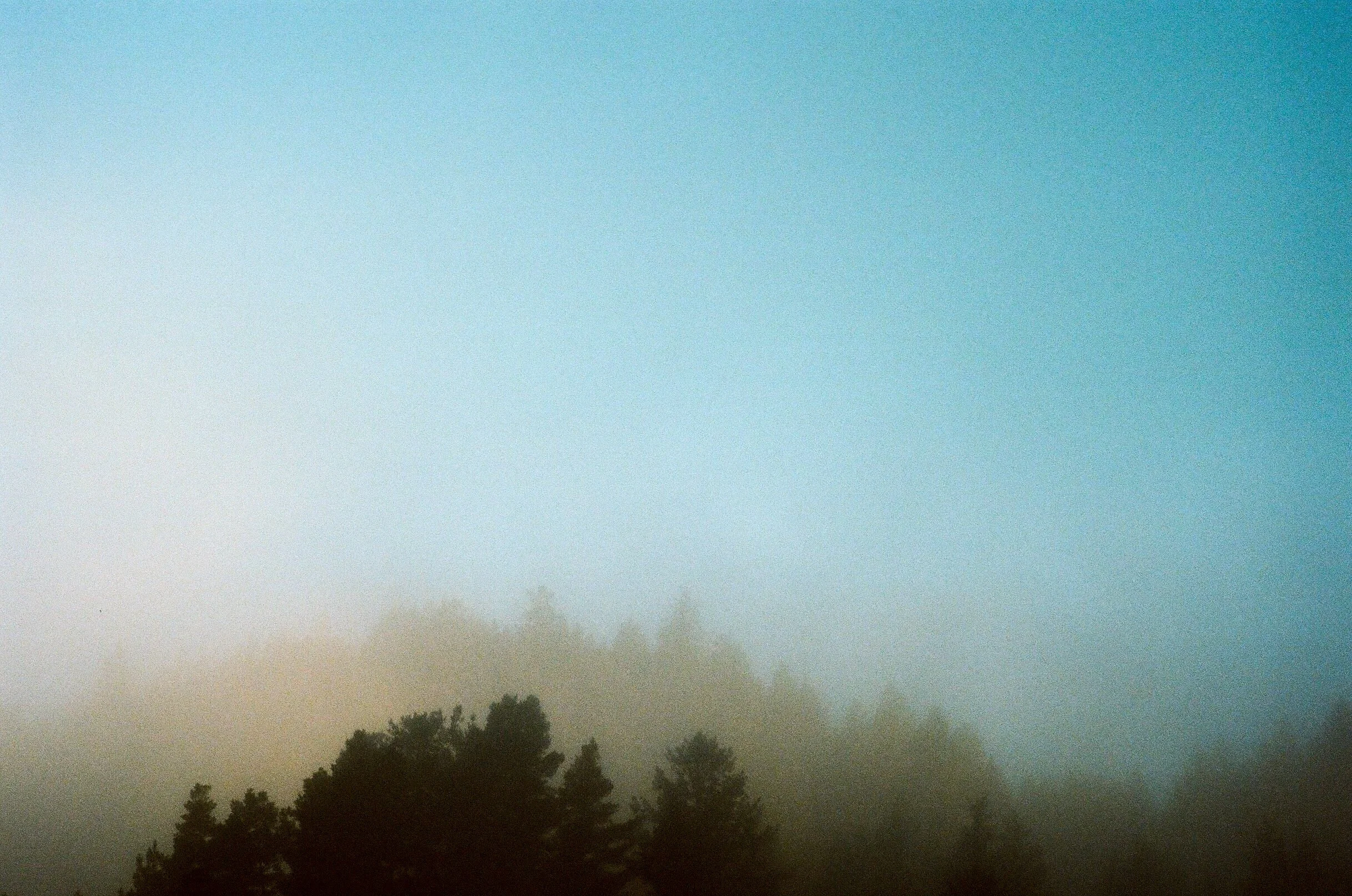 9D970965-F7AE-402A-BC4F-EF0DC0837D6B.jpeg