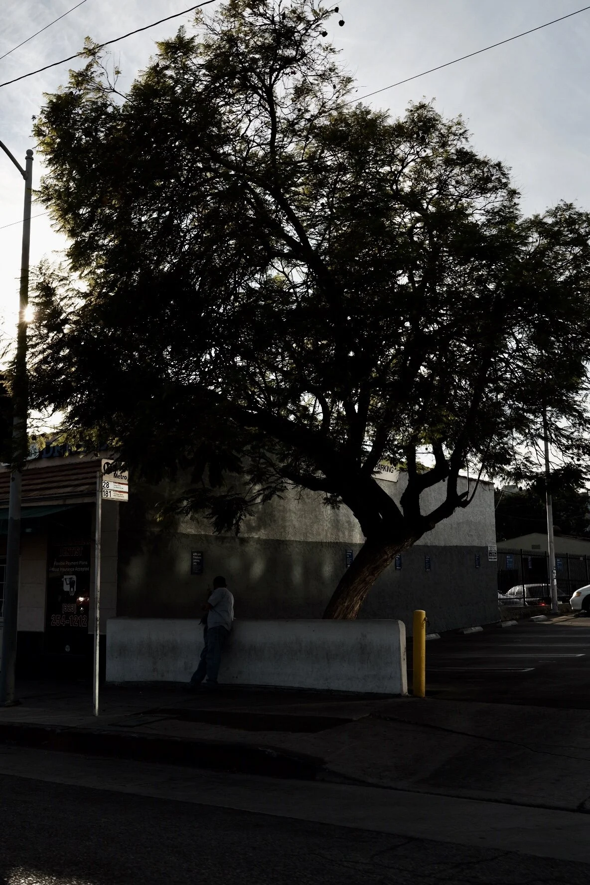 D732D016-CA7B-4644-B16F-3177CAD66FE5.jpeg