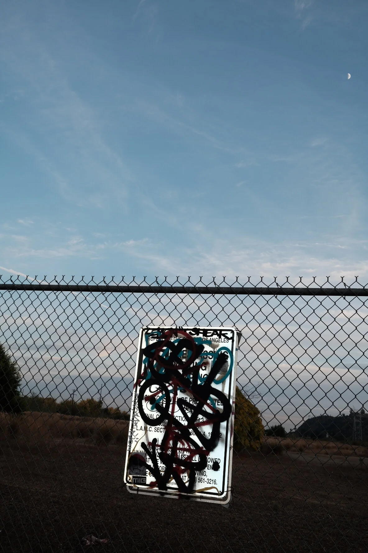 25F38543-D83C-44B1-A422-6360831B30E8.jpeg