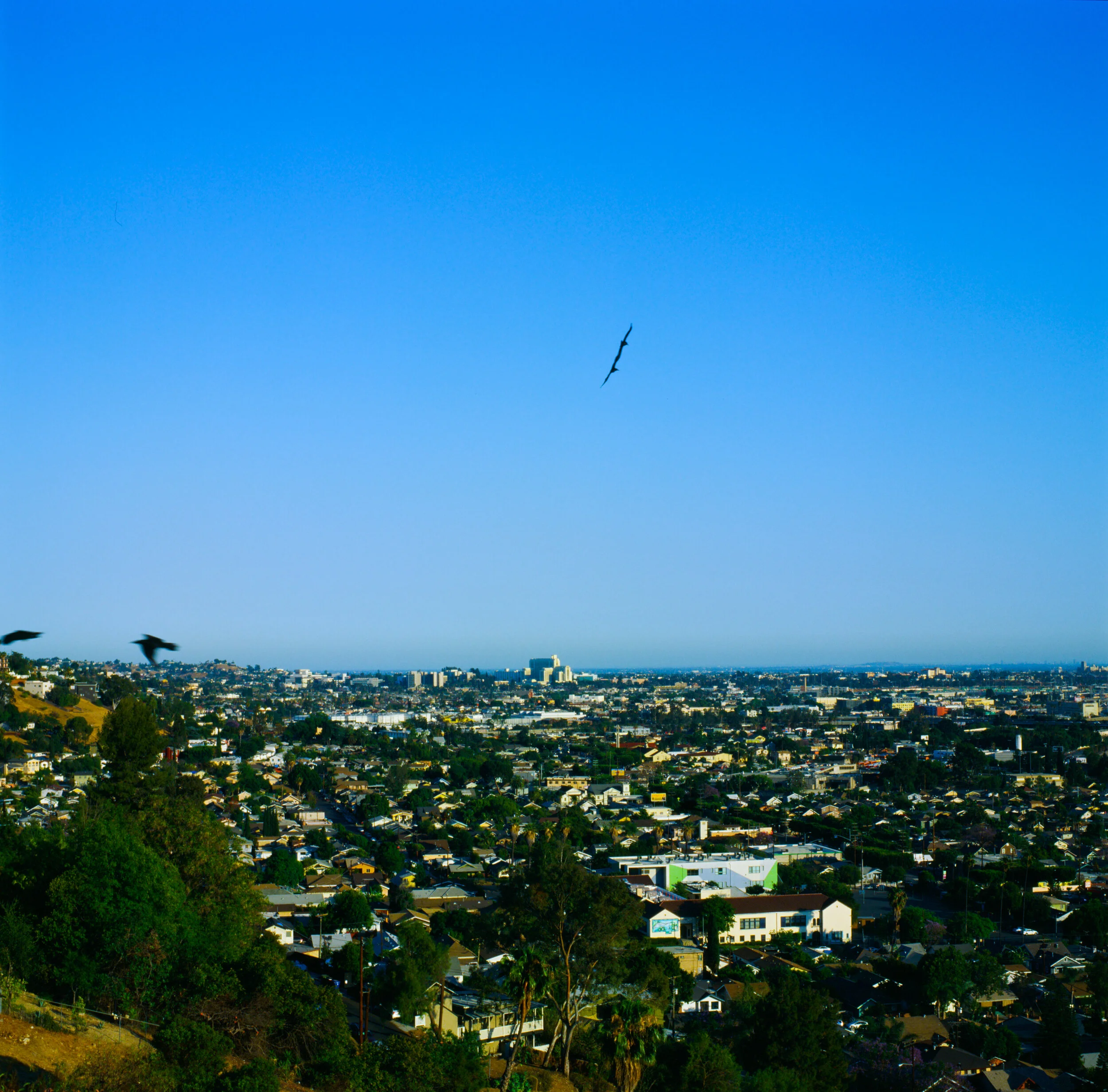 B5B605DB-9209-46D3-807D-CC576817C757.jpeg