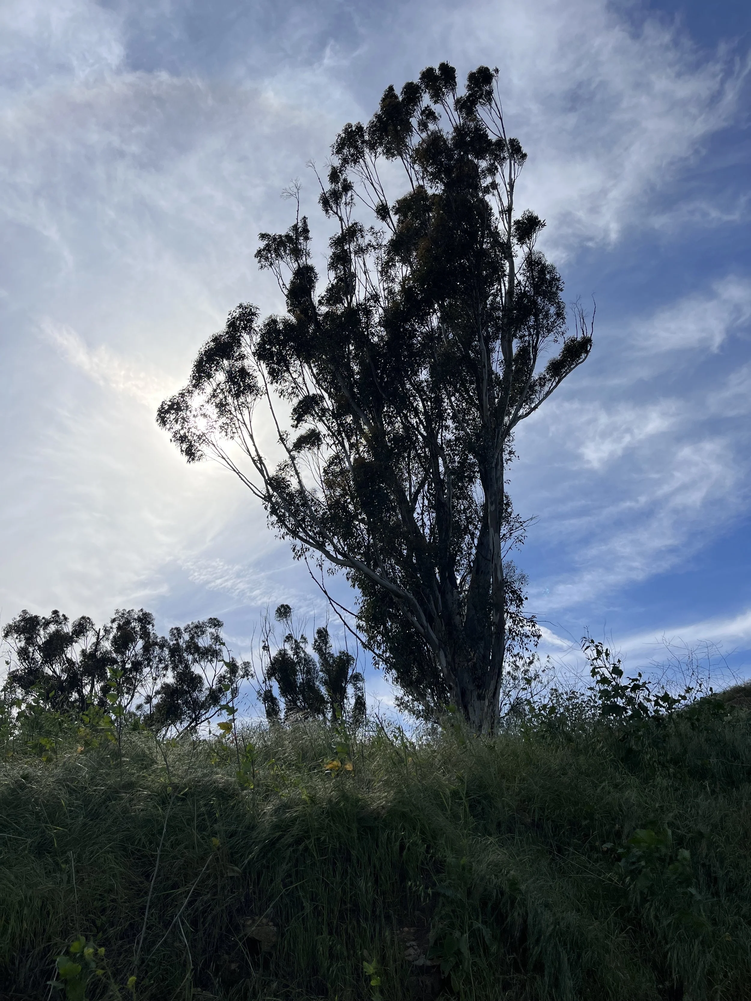 IMG_3402.jpeg