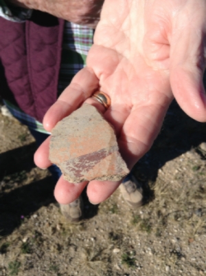 Suzy Fish holds a piece of Hohokam red-on-buff pottery.