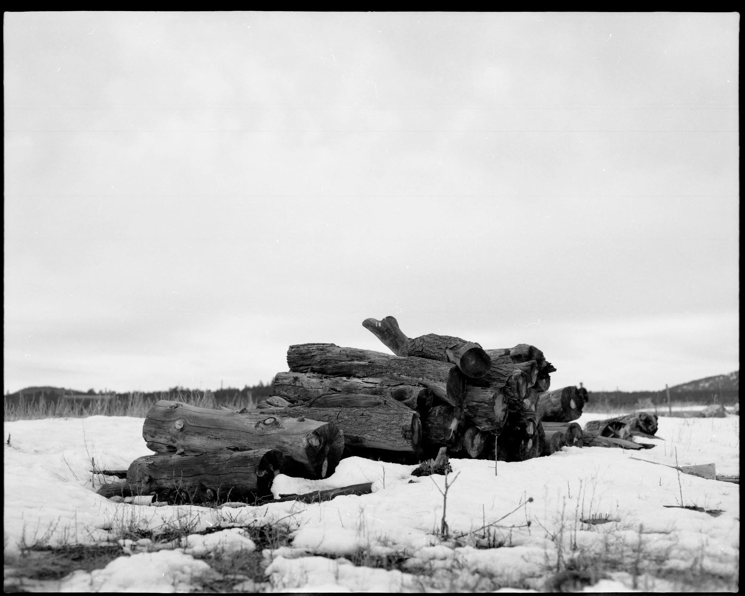 img396-2.jpg