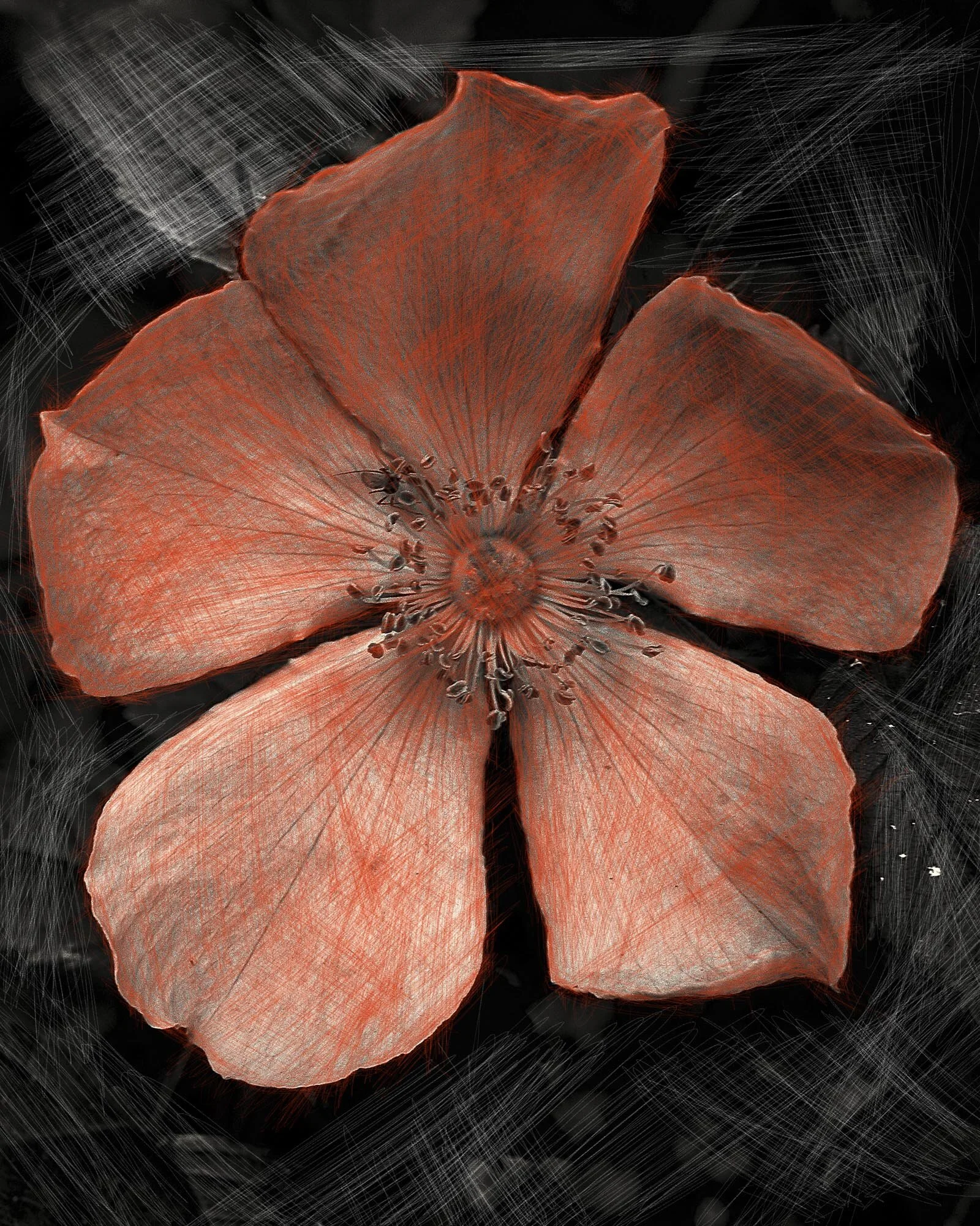 044A8992 23456.jpg