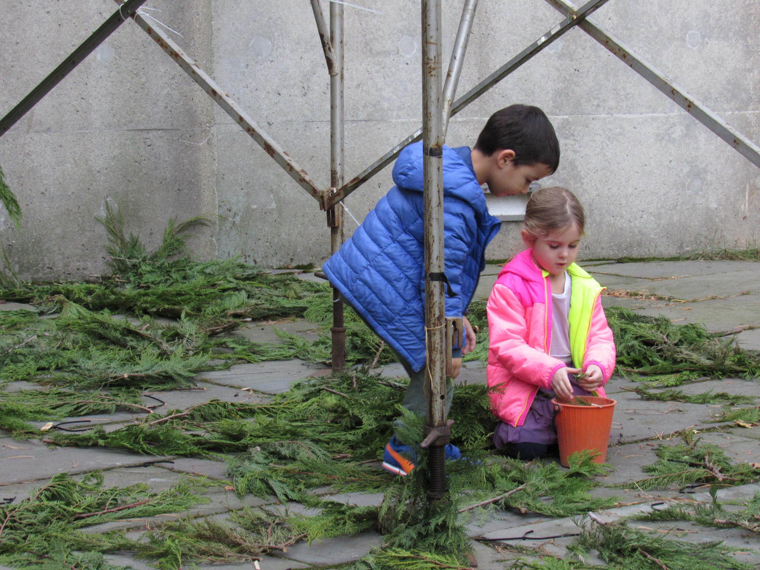 branches.jpg
