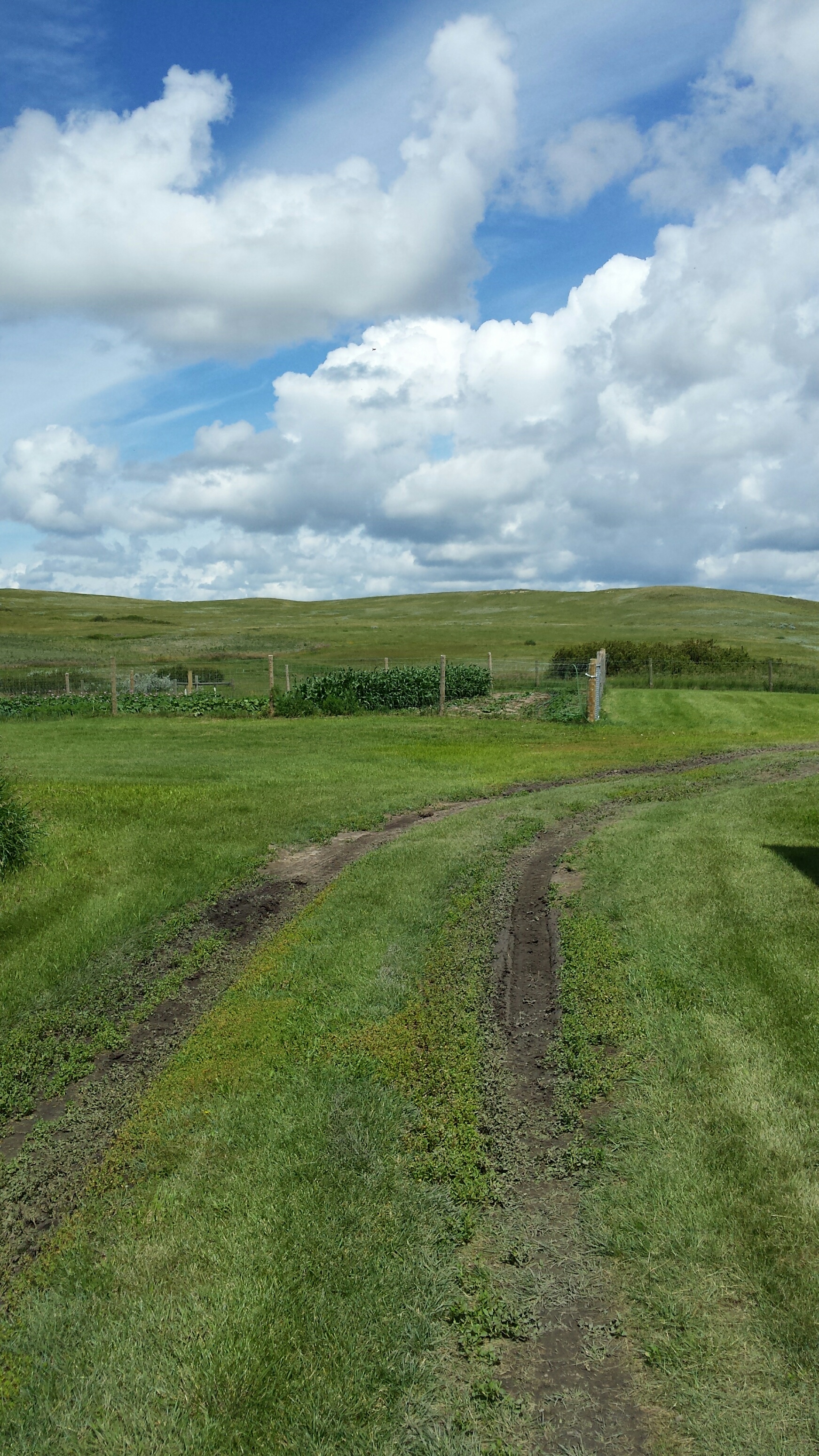 A garden patch behind Wood Mountain First Nation's community centre