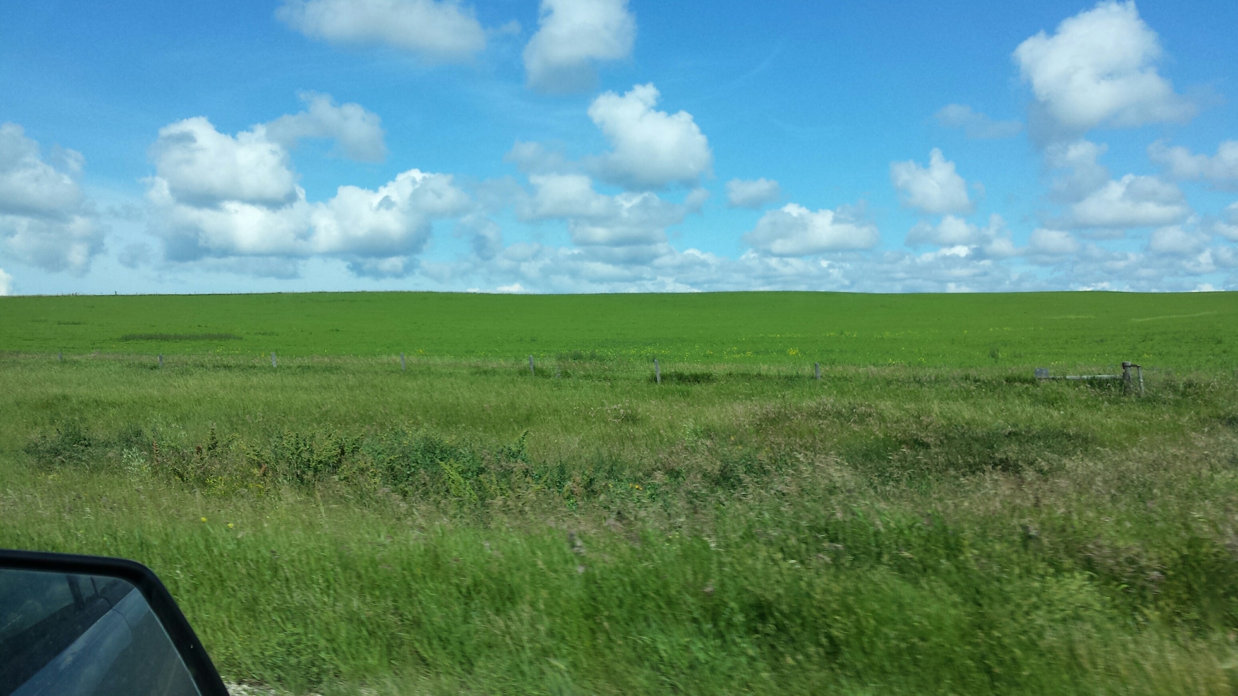 A sea of green on the way to Wood Mountain First Nation