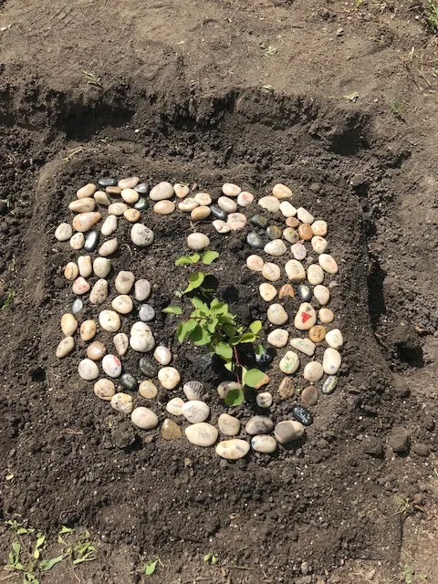 Final Result of the Rock Awareness Project.