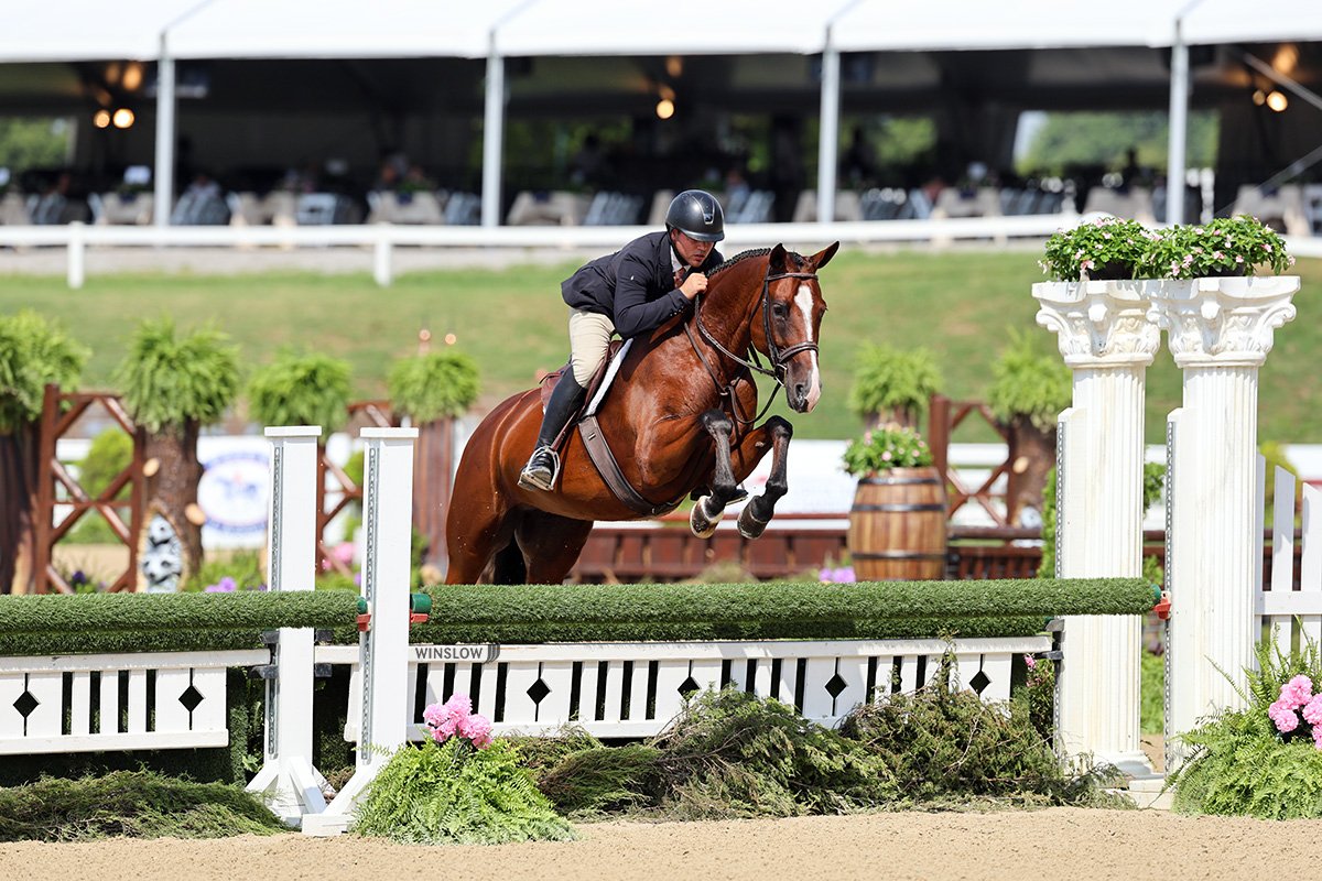 250814_SUL_3236 web.JPG