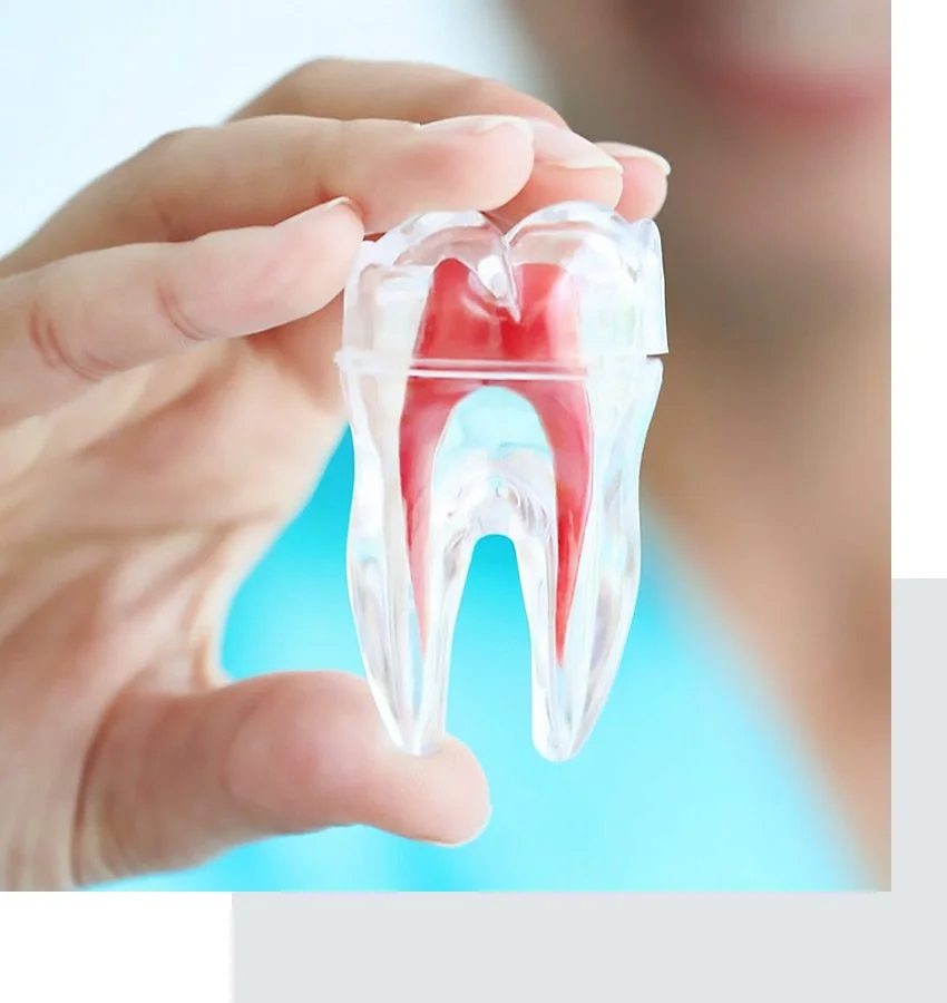 Multiple Tooth Loss: Replacement Options for Better Quality of Life