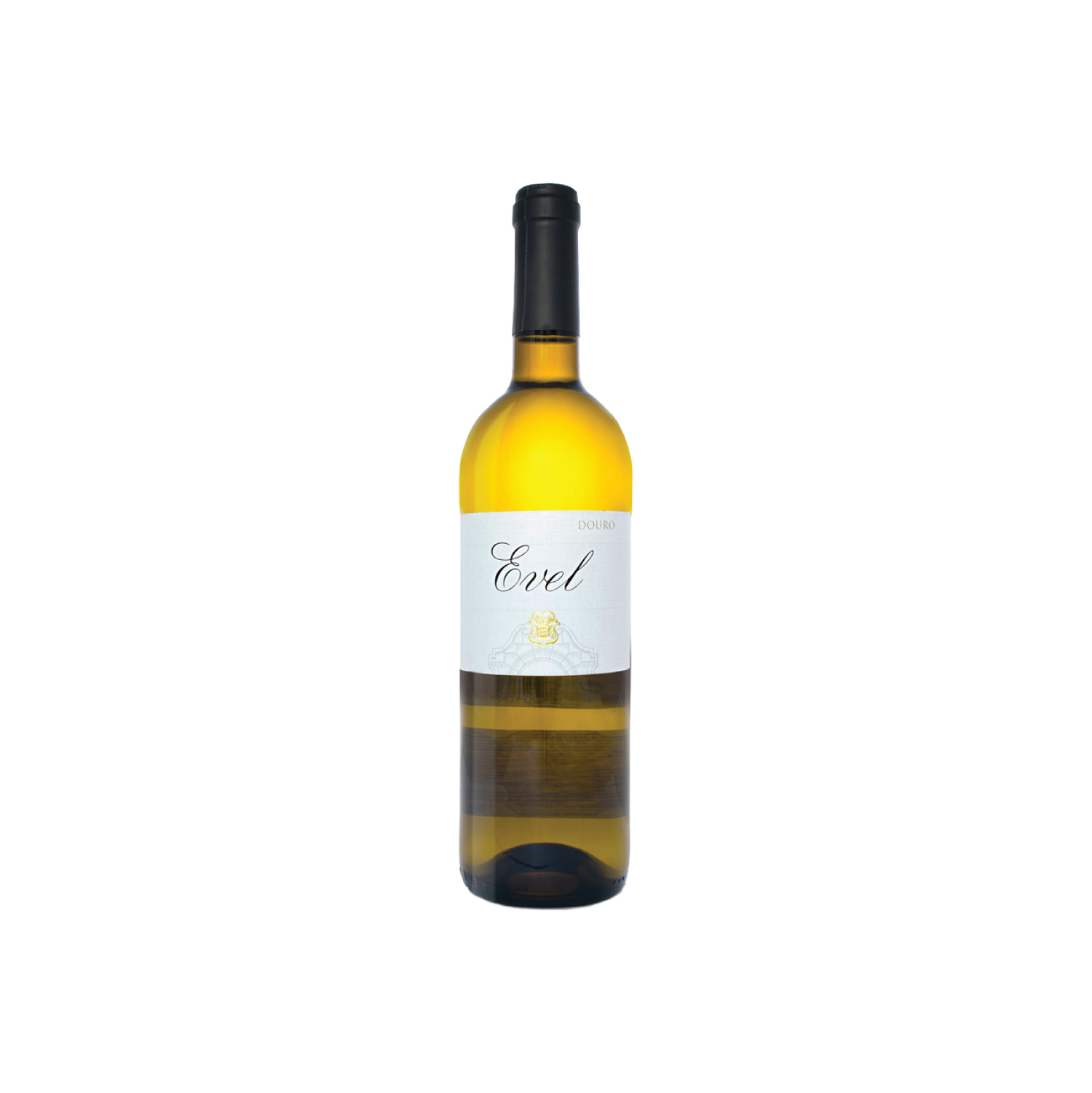 casc blog_june_evel.png