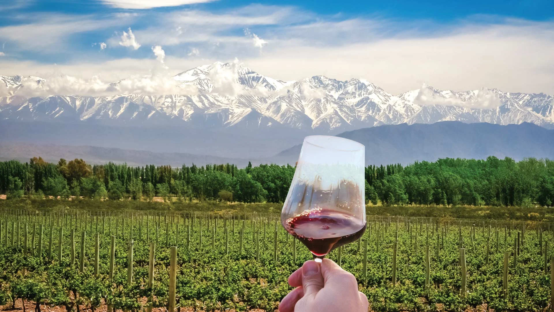 wines_of_argentina_header.jpg