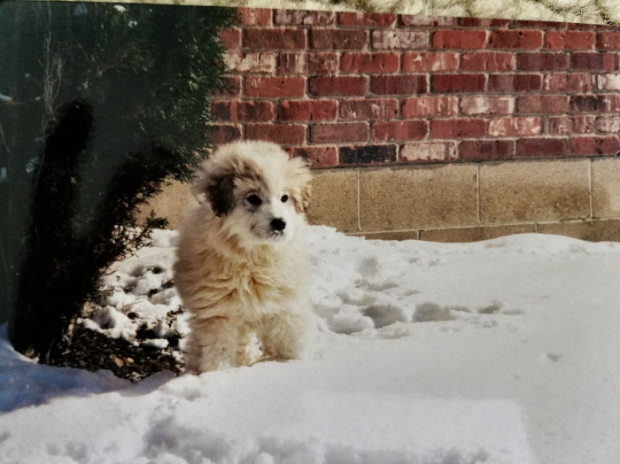 Baby Jazzy.jpeg