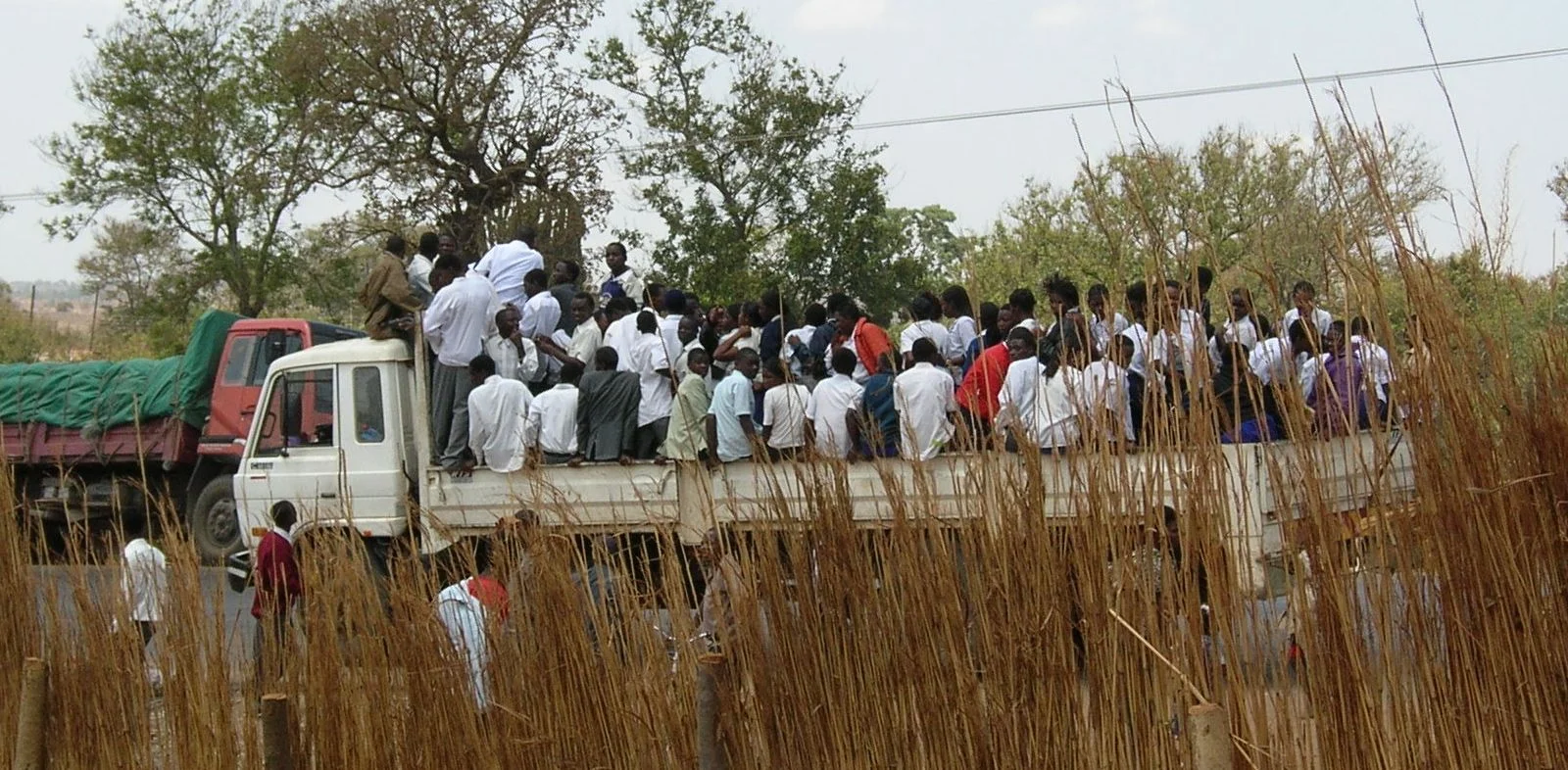 DSCN0767 cropped.JPG