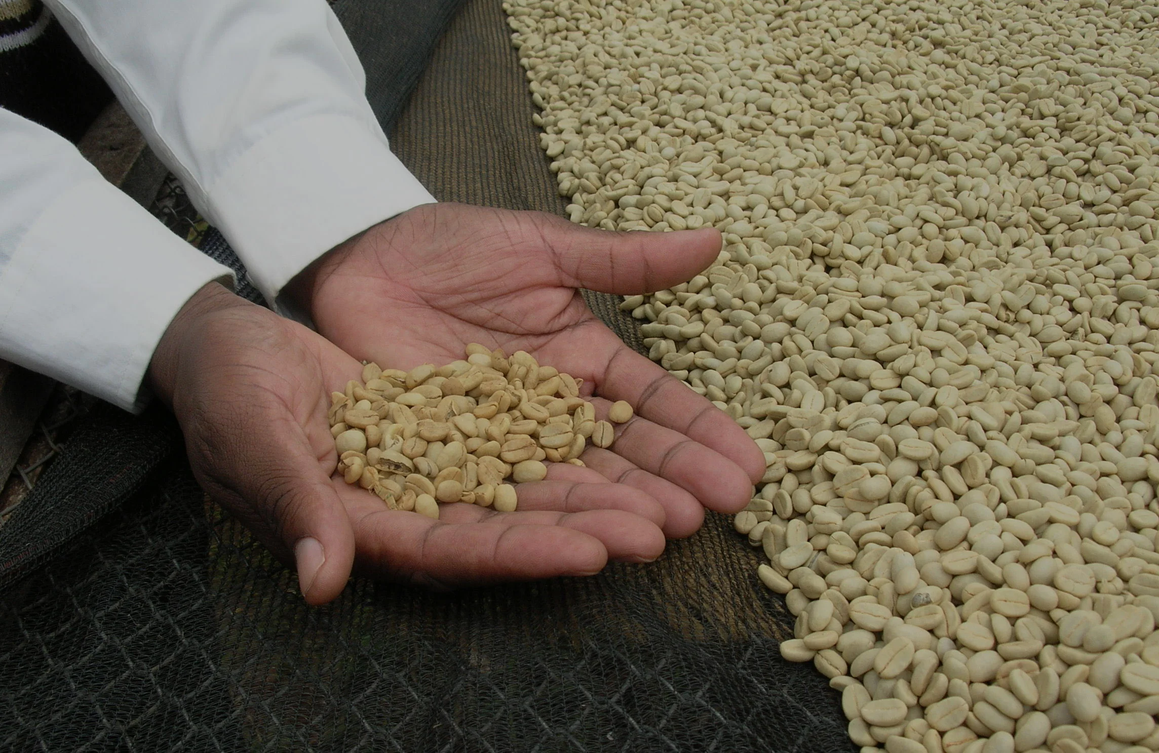 Economic Development.jpg