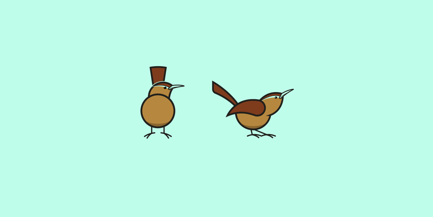 The Carolina Wren is the state bird of South Carolina. 