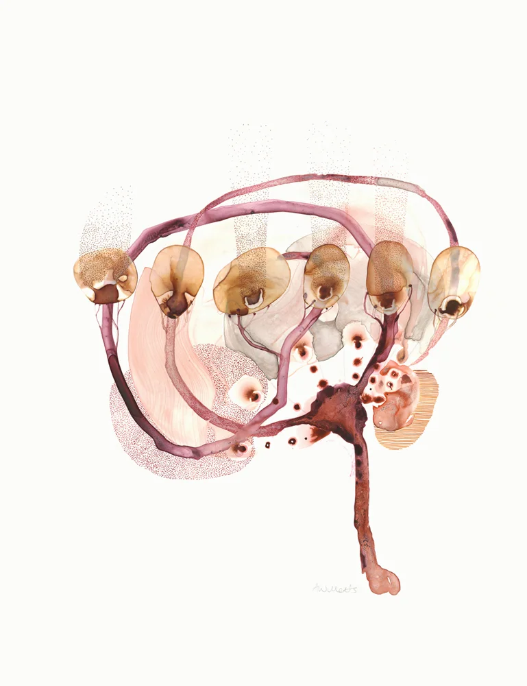 Brain