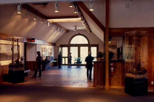 Sanctuary Marsh 5.jpg