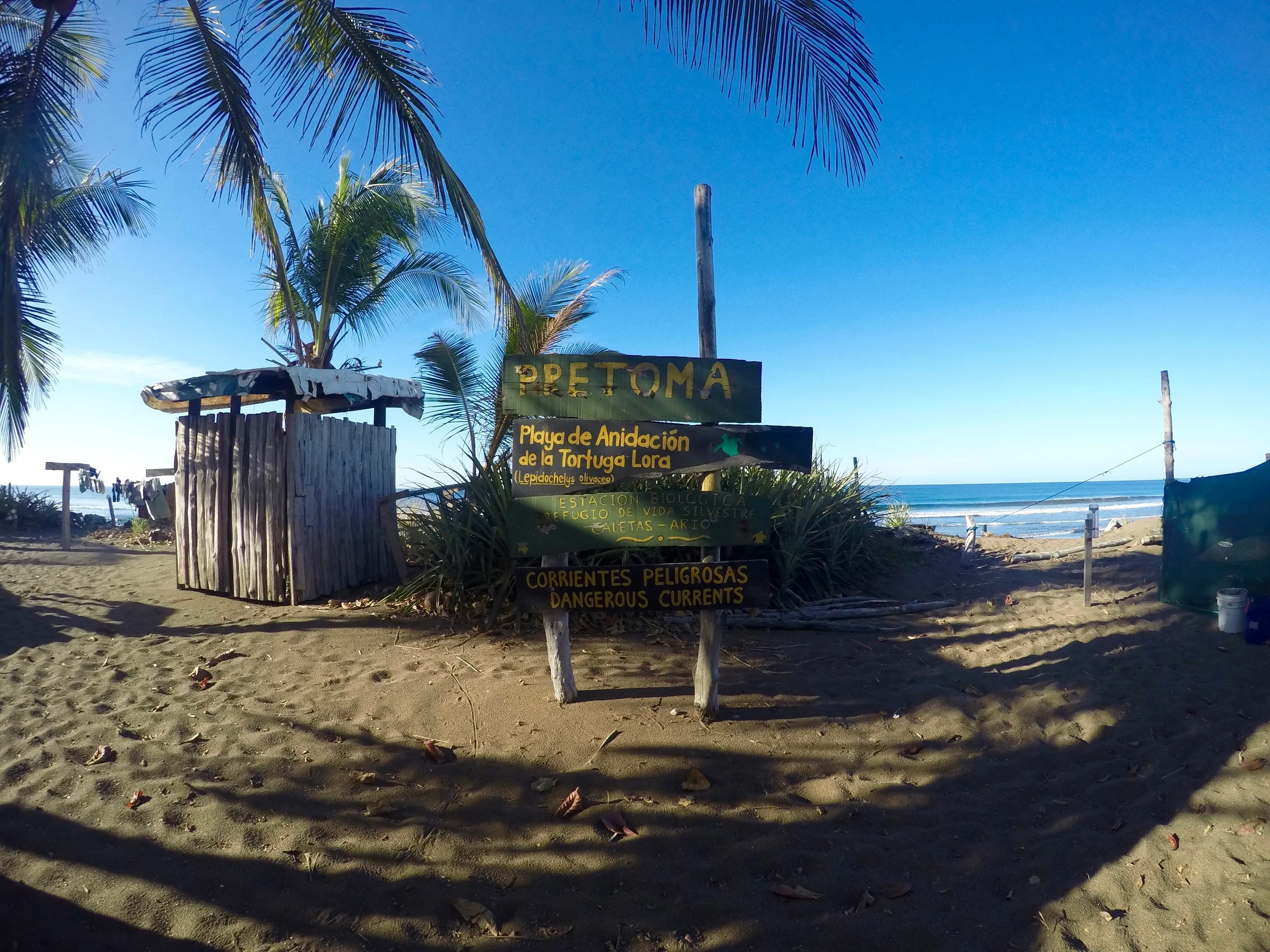 How to start living "Pura Vida"