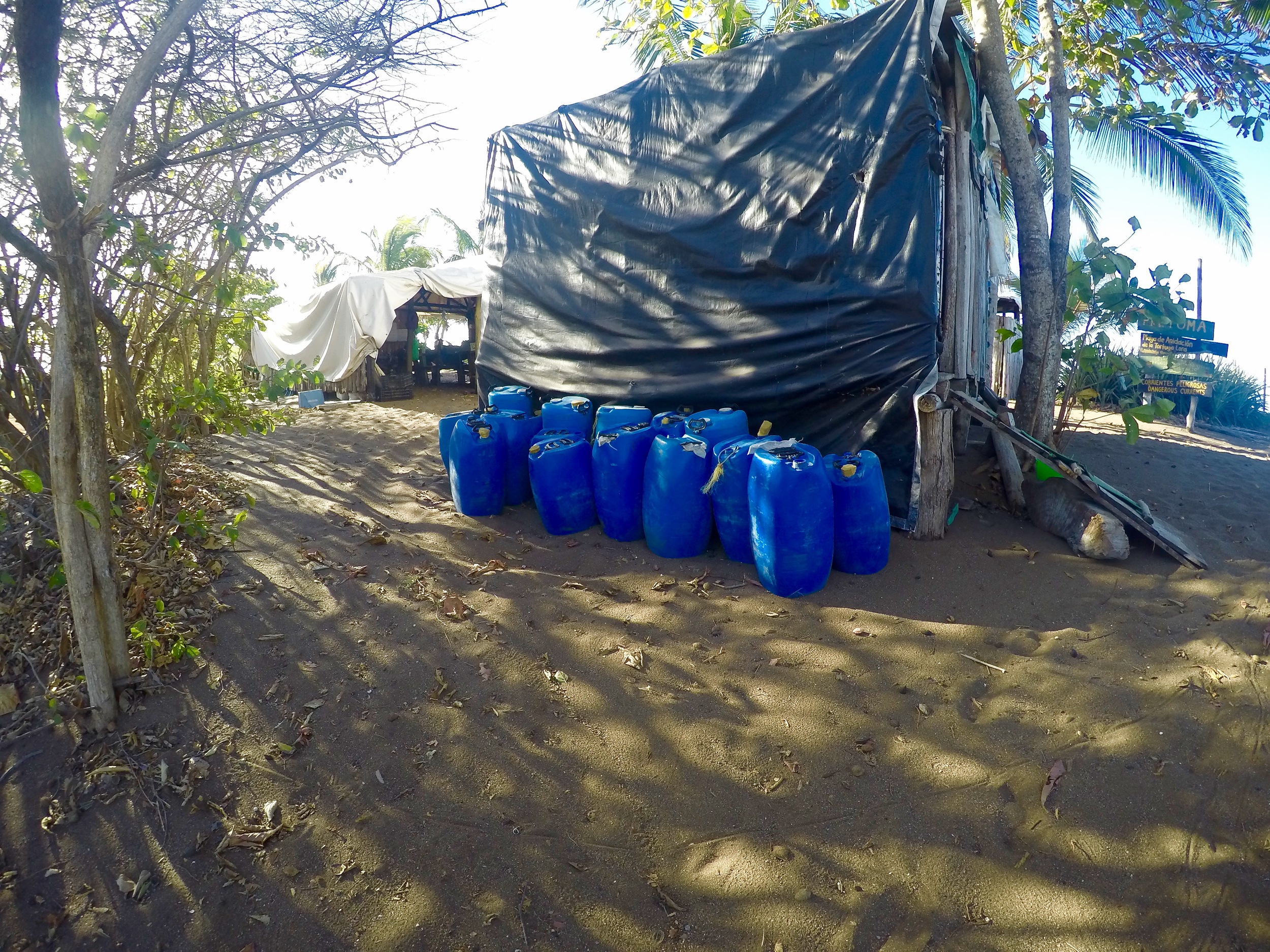 Row of bachingas– where our fresh water is stored for drinking, showers, washing dishes, and washing clothes. 