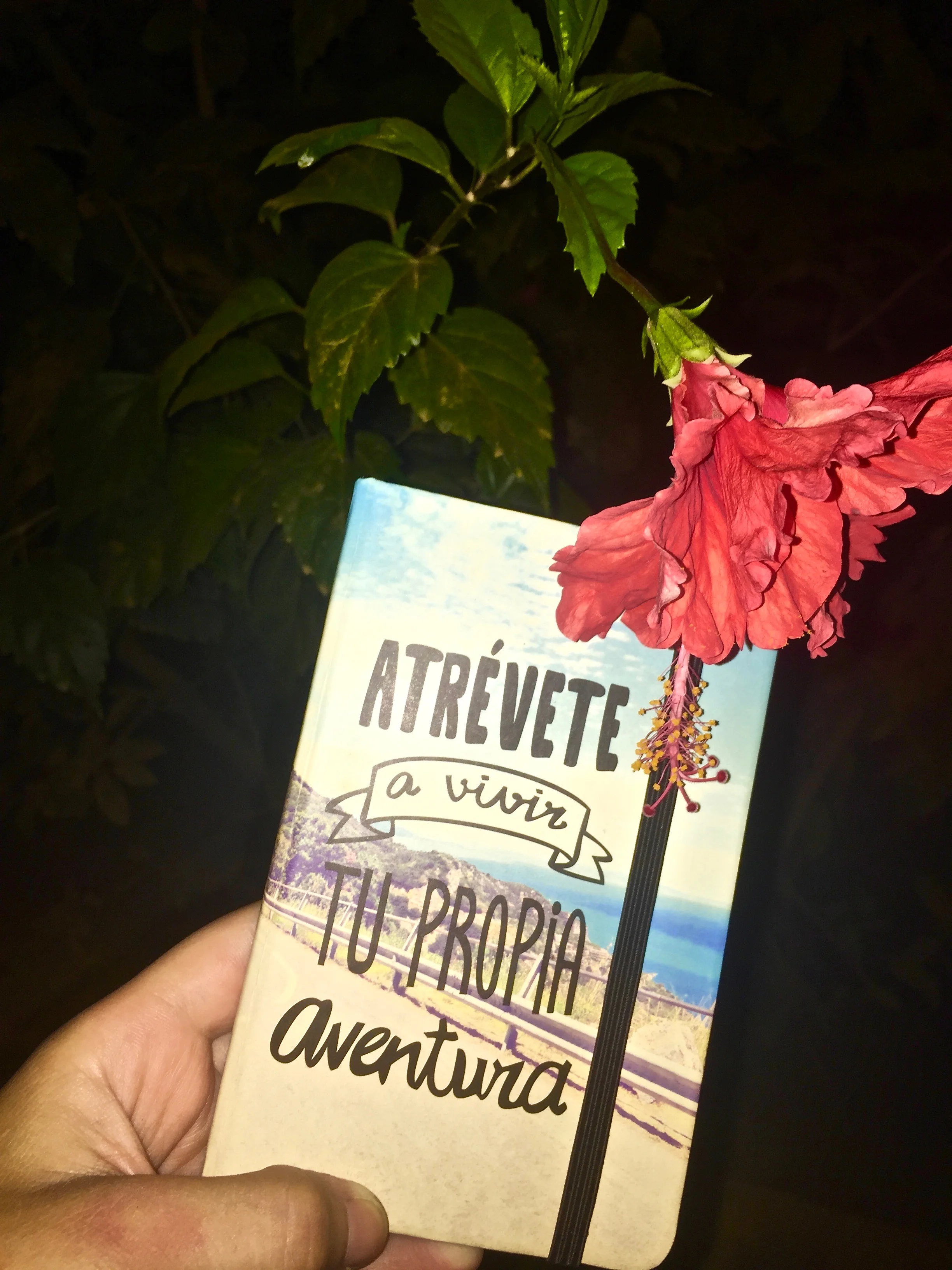 I bought this little one in Spain, so it brings amazing memories when I write in it. "Dare to live your own adventure"