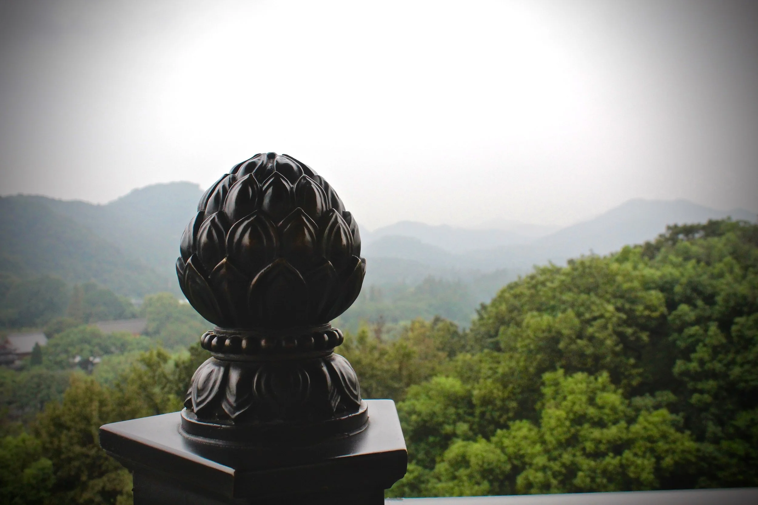 View from the top.