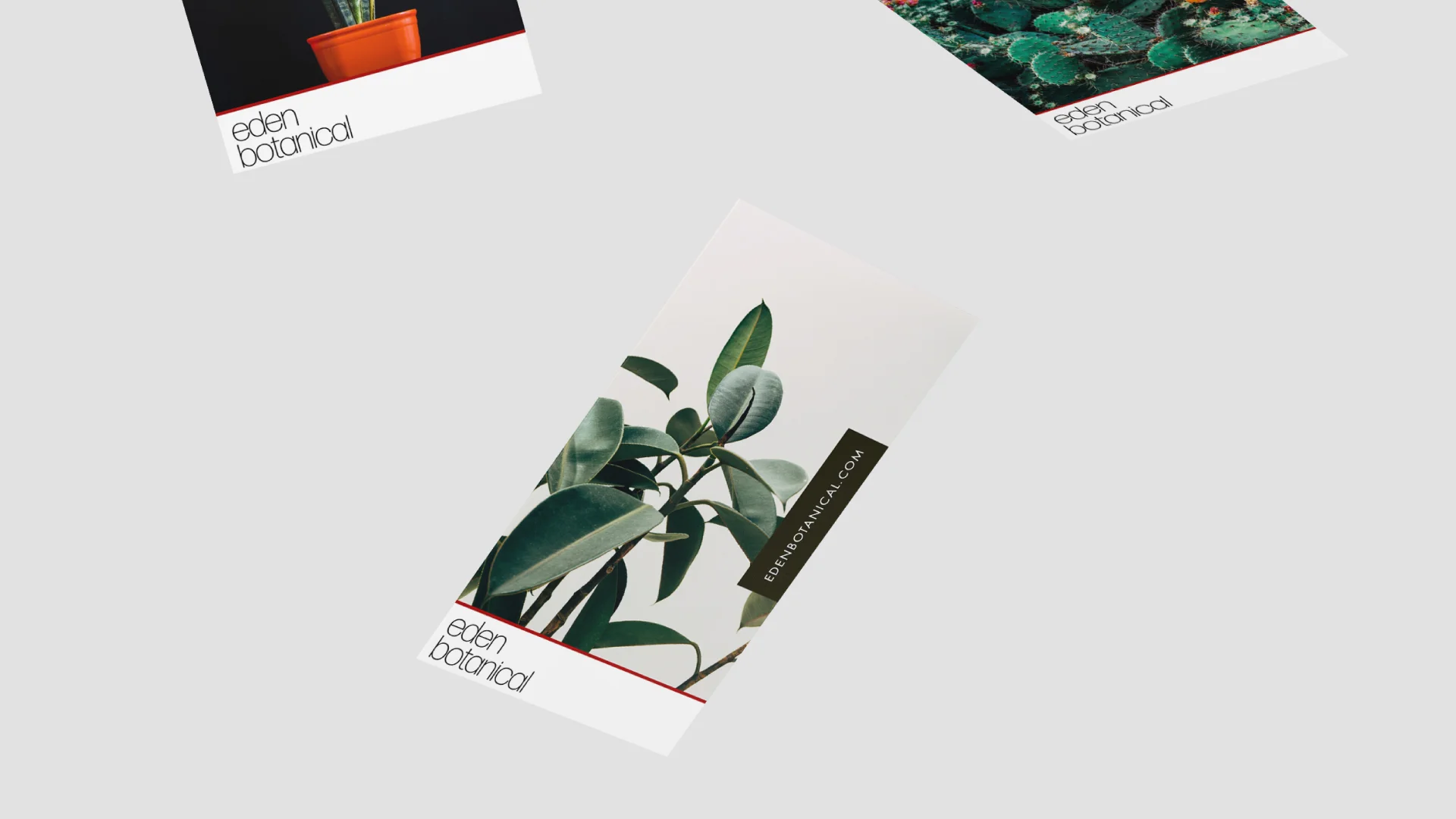 Eden-Cards2.jpg