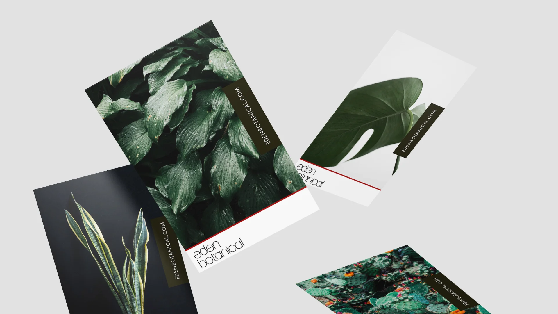 Eden-Cards1.jpg