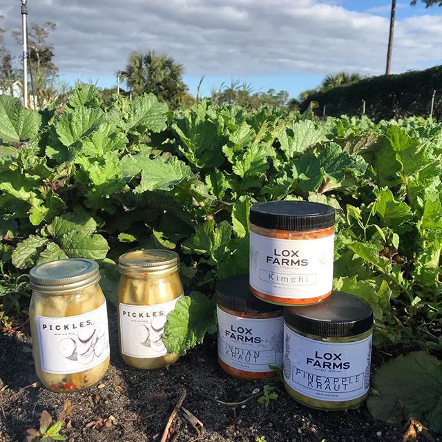 Ferments are on sale through the new year! Pickles are 2 for $10 and kimchi&rsquo;s and krauts and 3 for $25. Stop by and see Allie or Aj today at the markets this weekend.